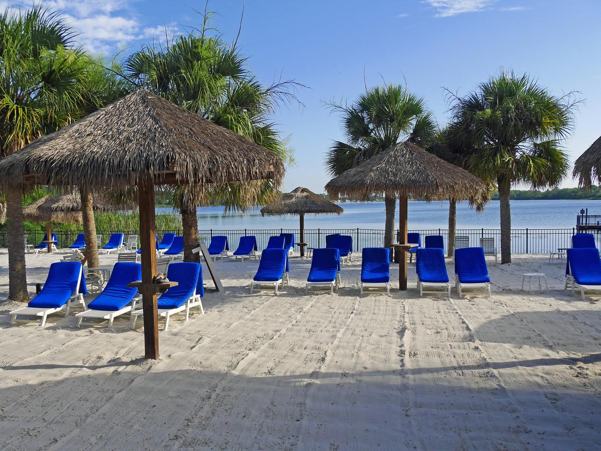 Beach on Lake Davenport